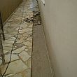 Imagem de 